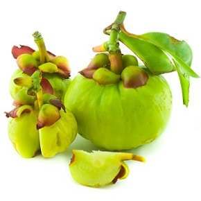 Combining Garcinia Cambogia with Forskolin